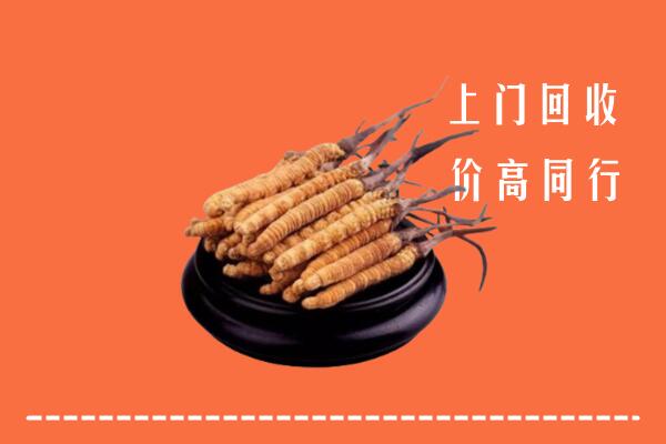 高价求购：天水市回收散虫草