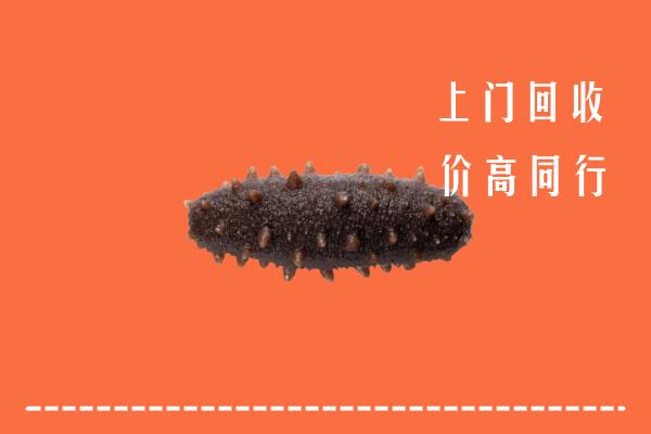 天水市回收海参