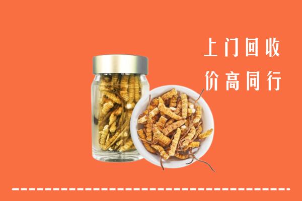 天水市回收冬虫夏草